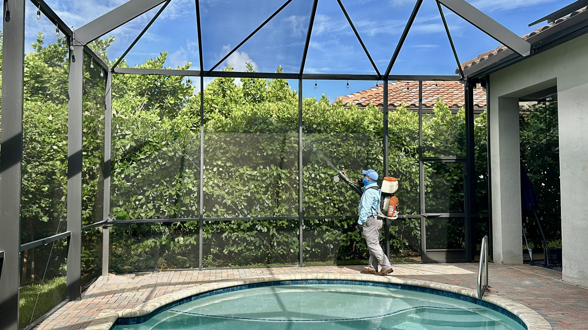 Spider pest control near me