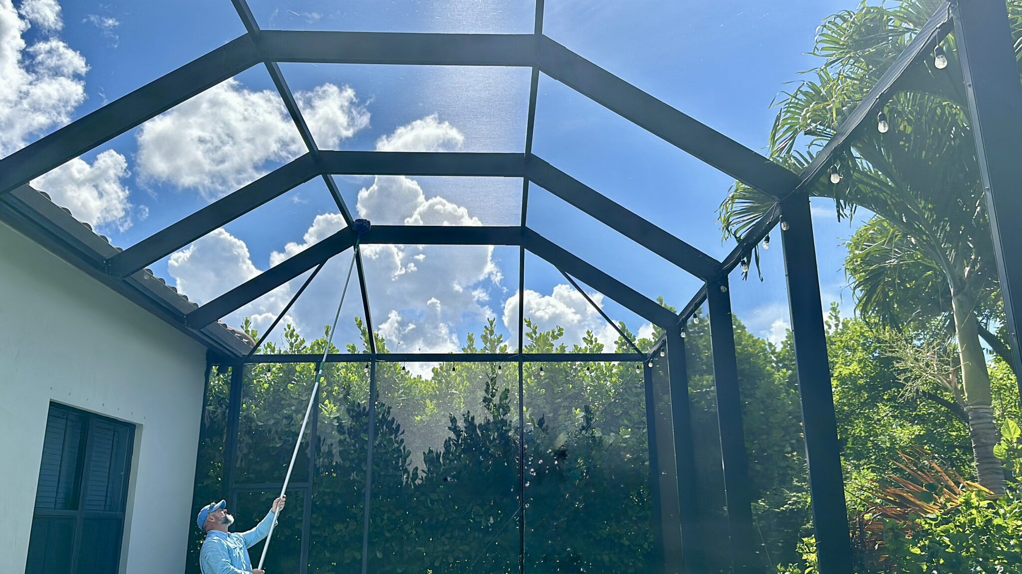 Spider Control Naples Ft Myers Orlando